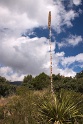 27_Big Bend National Park_14